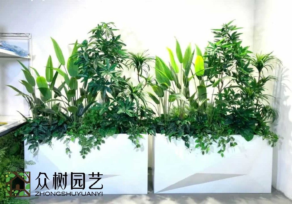 震撼發(fā)現(xiàn)！蘇州綠植租賃：為城市空間注入綠色活力